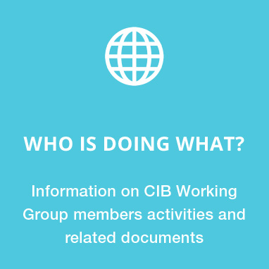 VNG International The Hague - Web design for CIB (Capacity and Institution Building Working Group) - Mosaic image