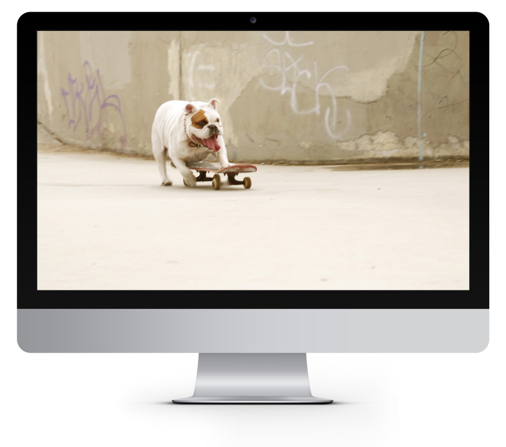 Sk - New branding - Main slider