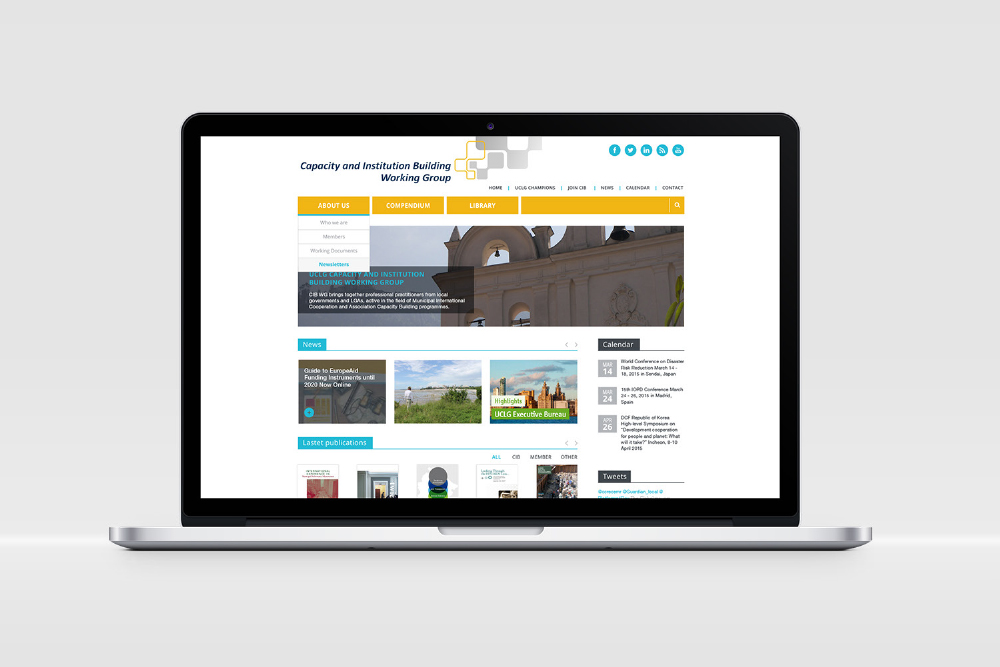 VNG International The Hague - Web design for CIB (Capacity and Institution Building Working Group) - Main images